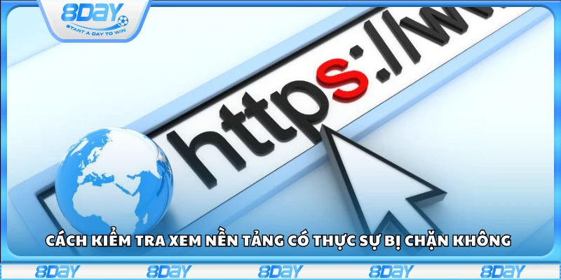 Hướng dẫn kiểm tra tình trạng kết nối và truy cập website