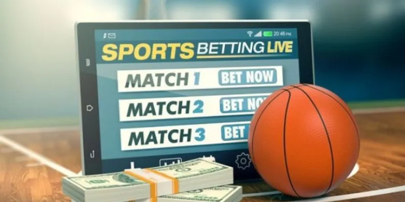 Những điều cần biết về cá cược bóng rổ 