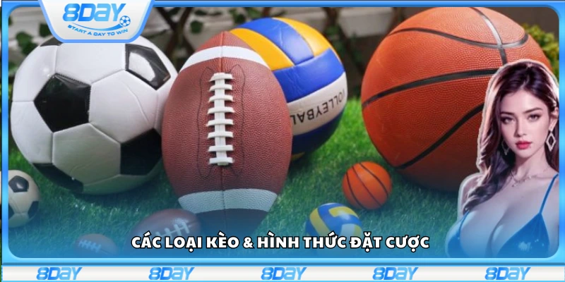 Một số loại kèo & hình thức đặt cược trong IM Sport