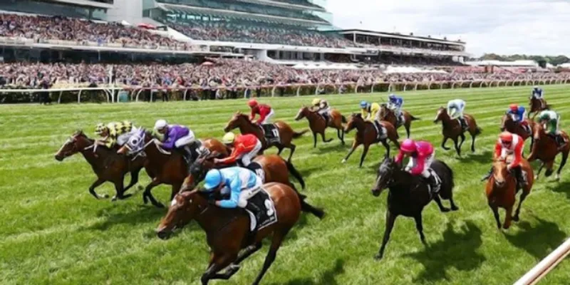 Khái quát chung về cá cược đua ngựa