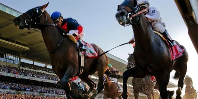 Những loại kèo thường gặp khi cá cược đua ngựa