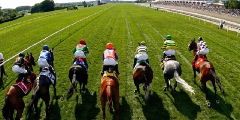 Mẹo cá cược đua ngựa giúp thắng đậm