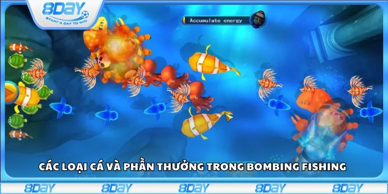 Các loại cá và phần thưởng trong Bombing Fishing