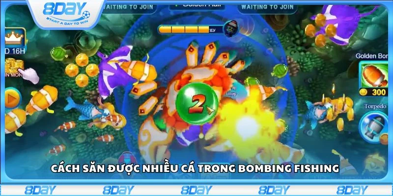 Cách săn được nhiều cá trong Bombing Fishing
