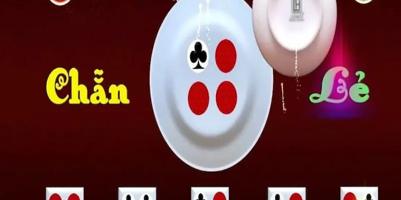 Tìm hiểu luật chẵn lẻ cho người mới nhập cuộc