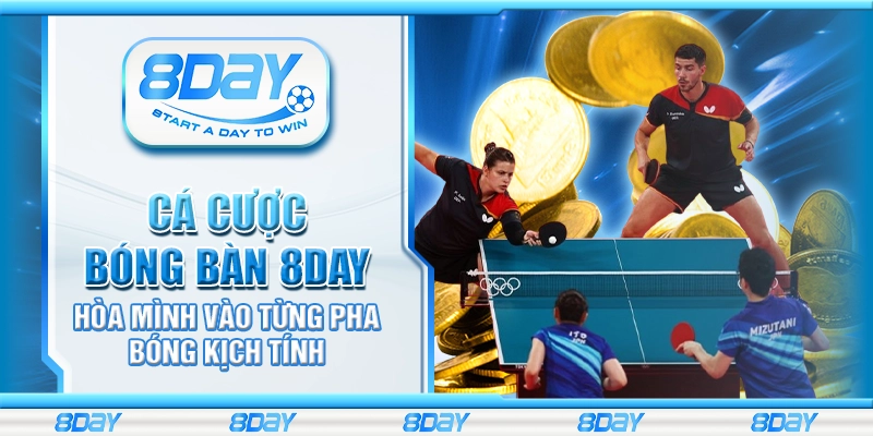 Cá cược bóng bàn 8day – Hòa mình vào từng pha bóng kịch tính