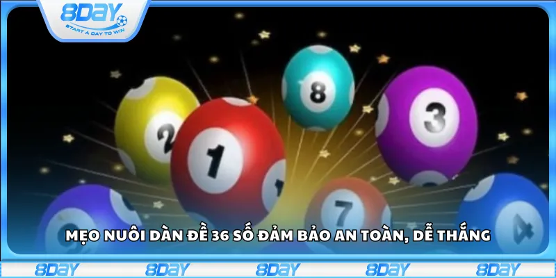 Mẹo nuôi dàn đề 36 số đảm bảo an toàn, dễ thắng
