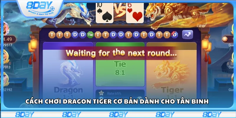 Cách chơi Dragon Tiger cơ bản dành cho tân binh
