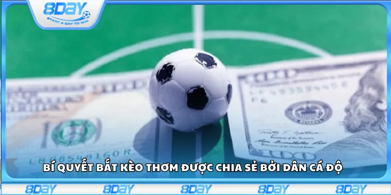 Bí quyết bắt kèo thơm được chia sẻ bởi dân cá độ