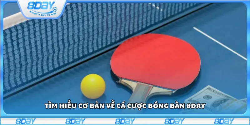 Tìm hiểu cơ bản về cá cược bóng bàn 8day