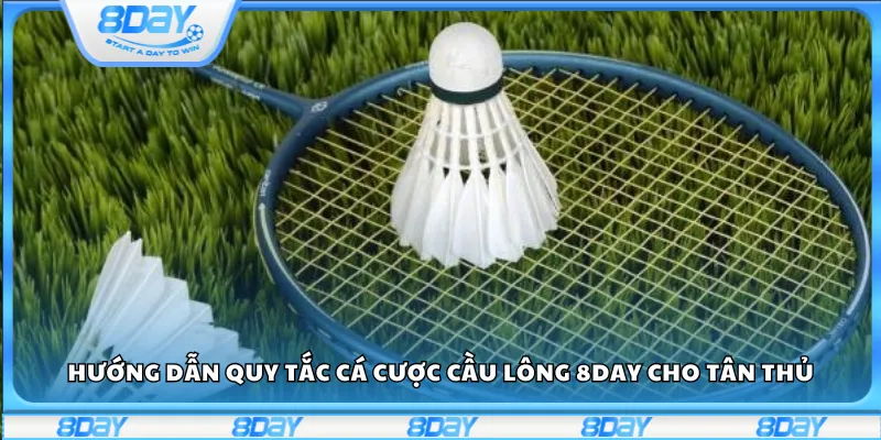 Hướng dẫn quy tắc cá cược cầu lông 8day cho tân thủ