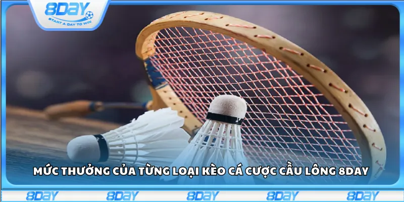 Mức thưởng của từng loại kèo cá cược cầu lông 8day