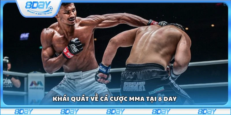 Khái quát về cá cược MMA tại 8 day