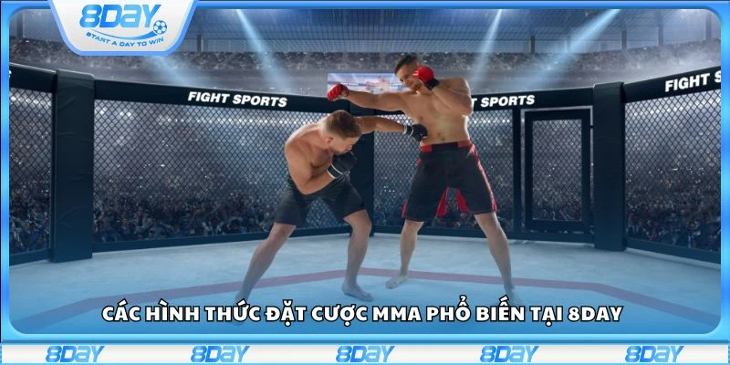 Các hình thức đặt cược MMA phổ biến tại 8day