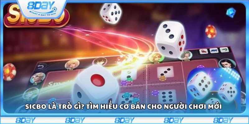 Sicbo là trò gì? Tìm hiểu cơ bản cho người chơi mới