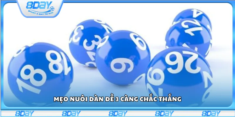 Mẹo nuôi dàn đề 3 càng chắc thắng