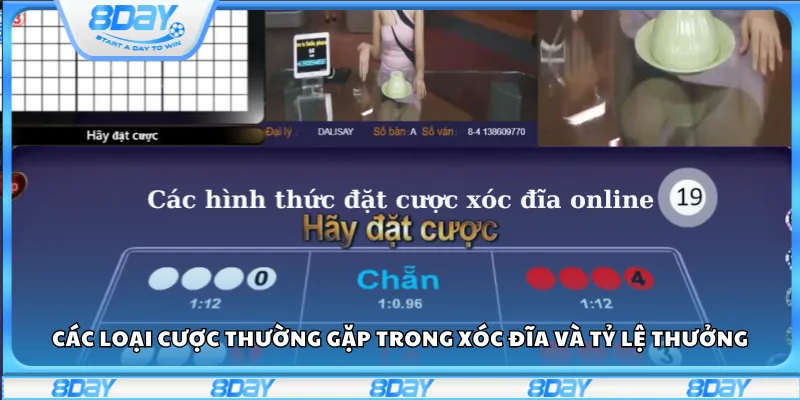 Các loại cược thường gặp trong xóc đĩa và tỷ lệ thưởng