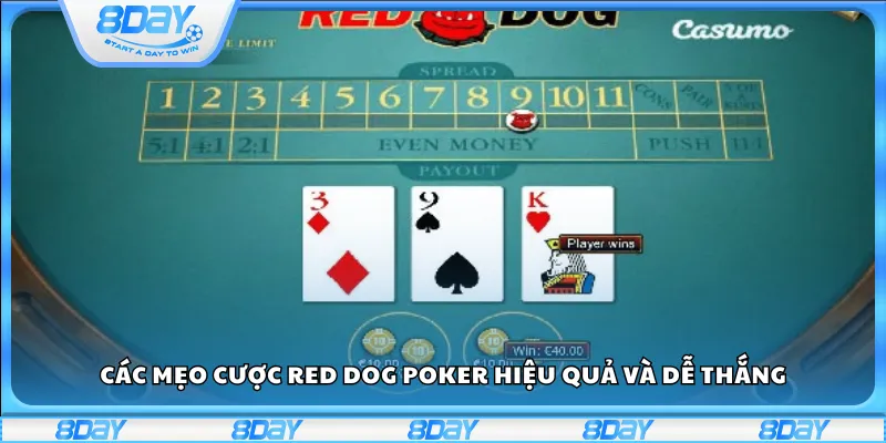 Các mẹo cược Red Dog Poker hiệu quả và dễ thắng