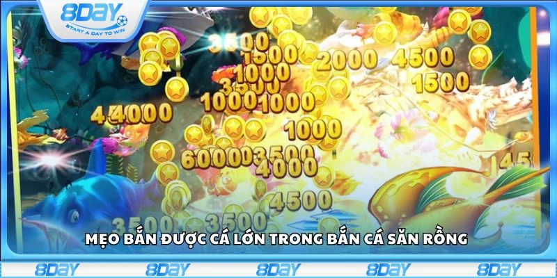 Mẹo bắn được cá lớn trong bắn cá Săn Rồng