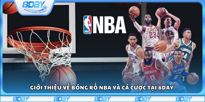 Tìm hiểu về giải NBA và hình thức cá cược tại 8Day
