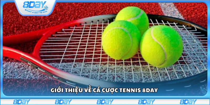 Tìm hiểu về cá cược Tennis tại 8Day